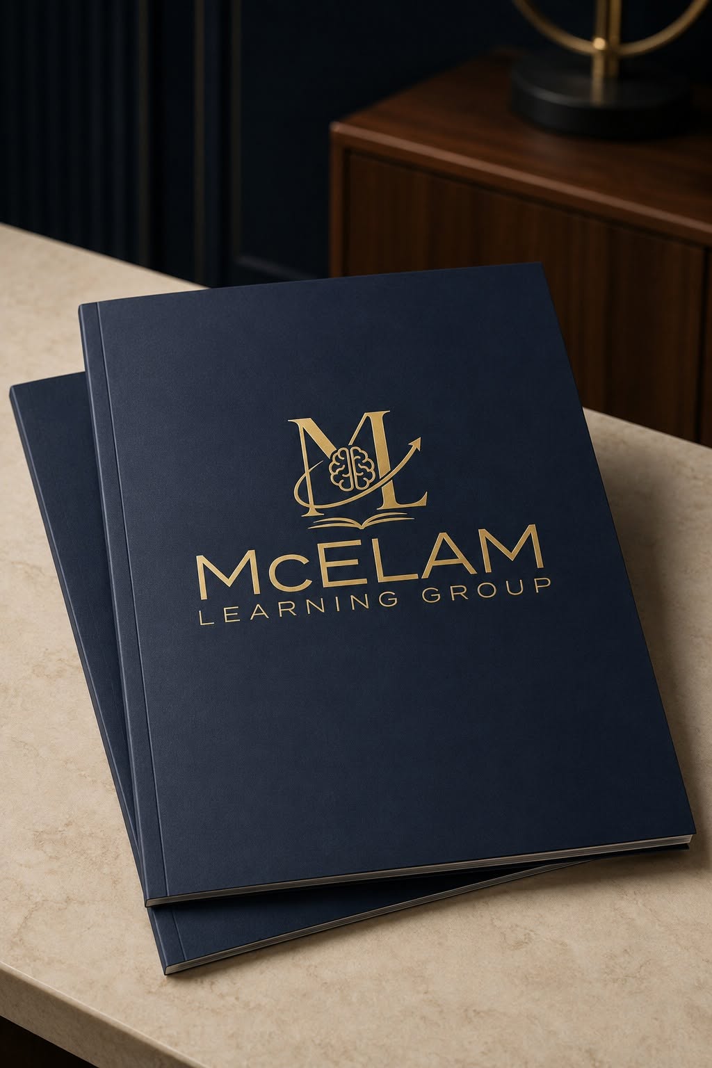 McElam Learning Group — Logo presentation